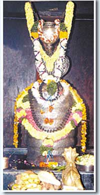 1cover9.jpg